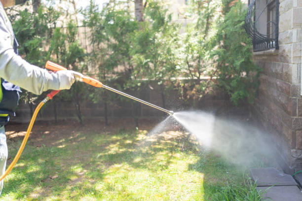 Professional Pest Control in Big Rock, IL