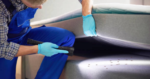 Best Pest Removal Services  in Big Rock, IL