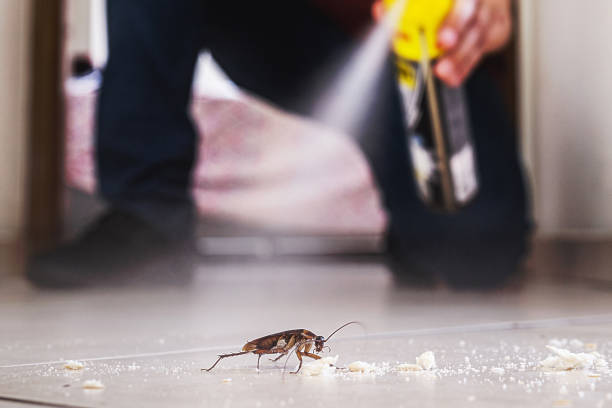 Best Residential Pest Control  in Big Rock, IL