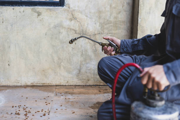 Best Wasp Removal Services  in Big Rock, IL